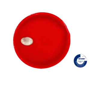 Wärmekissen Handwärmer mit Logo bedrucken Werbemittel